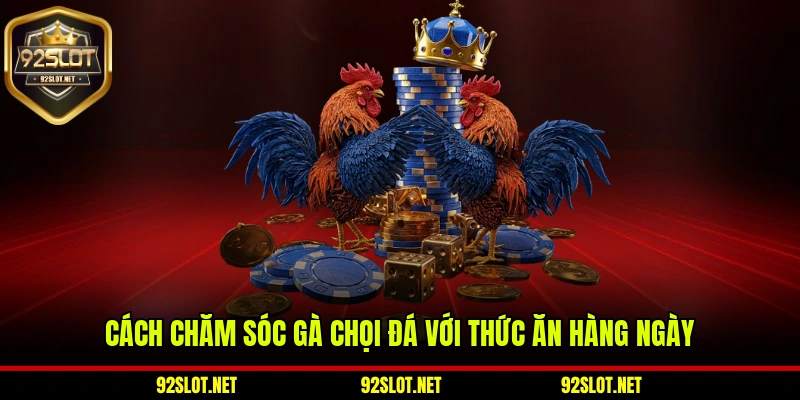 Cách chăm sóc gà chọi đá với thức ăn hàng ngày