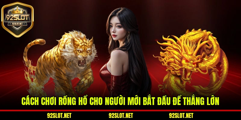 Cách Chơi Rồng Hổ Cho Người Mới Bắt Đầu Để Thắng Lớn