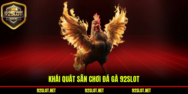 Khái quát sân chơi đá gà 92slot