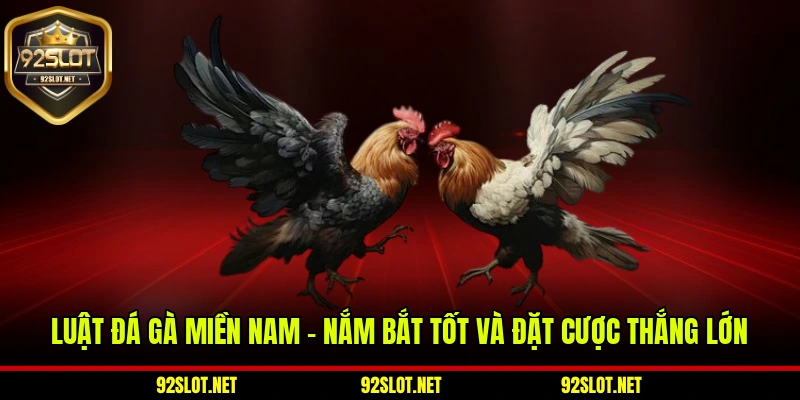Luật Đá Gà Miền Nam - Nắm Bắt Tốt Và Đặt Cược Thắng Lớn