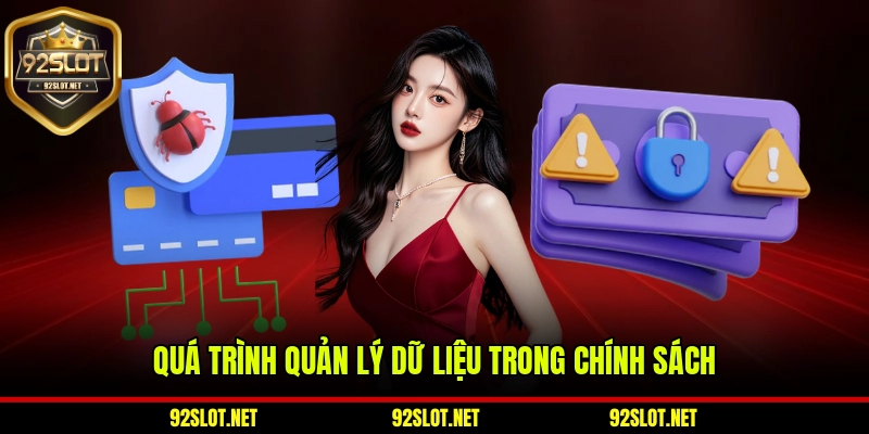 Quá trình quản lý dữ liệu trong chính sách