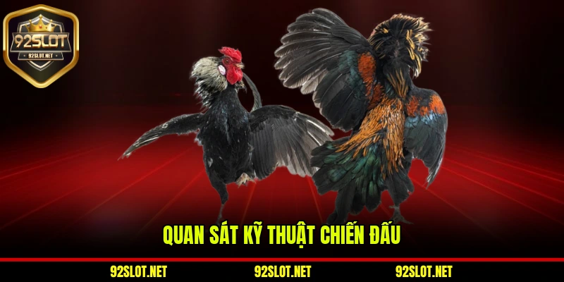 Quan sát kỹ thuật chiến đấu